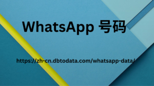 WhatsApp 号码